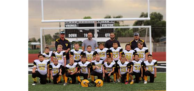 Viking Youth Football Club > Home